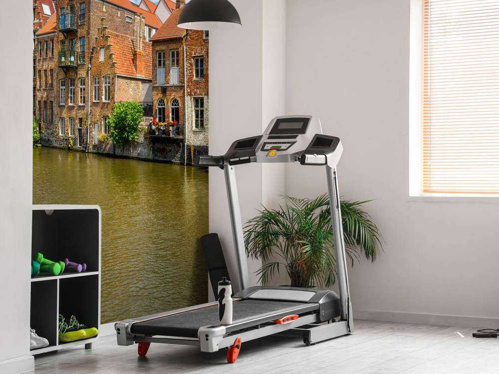 Historische huizen in Gent