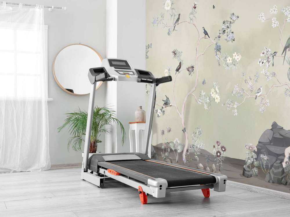 Birds in Garden Panorama 11