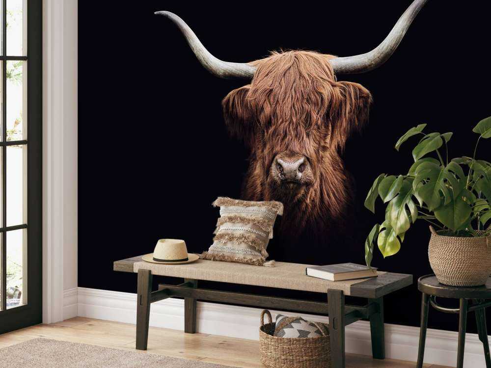 Vintage Schotse hooglander