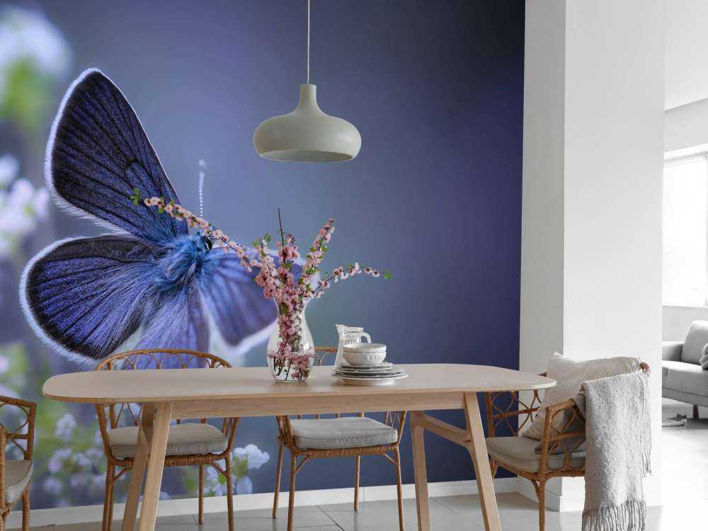 Blauwe vlinder