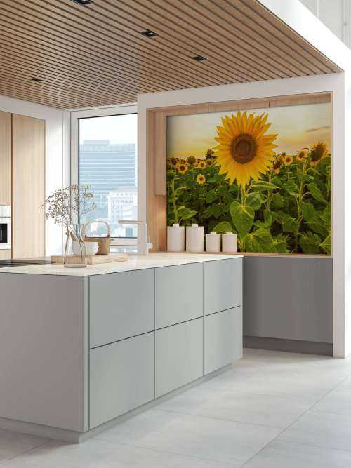 Zonnebloem in het veld