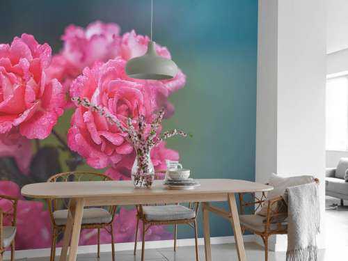 Roze rozentak