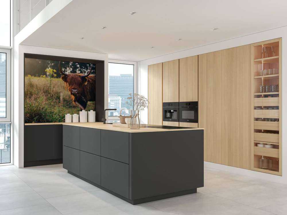 Schotse hooglander in het hoge gras