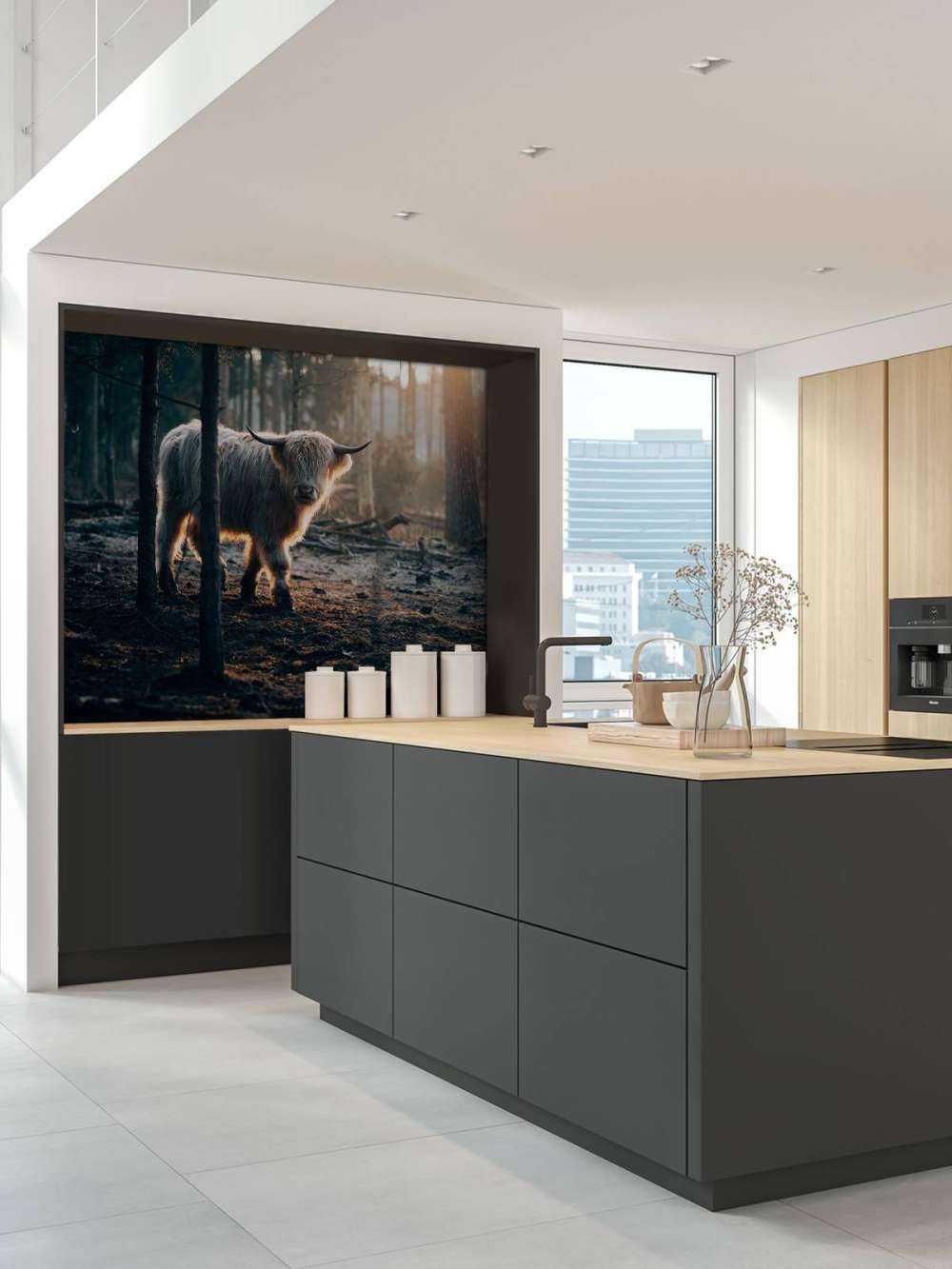 Witte Schotse hooglander