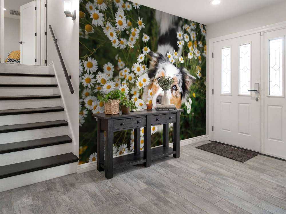 Australische herder tussen de bloemen
