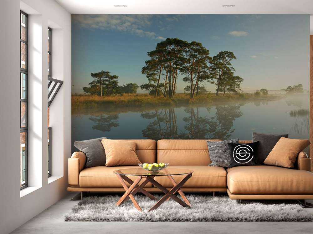 Weerspiegeling in heidegebied