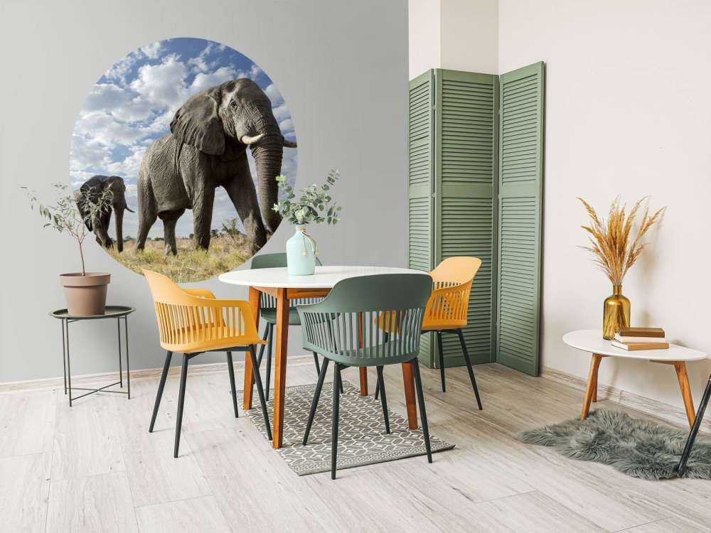 Passerende olifanten