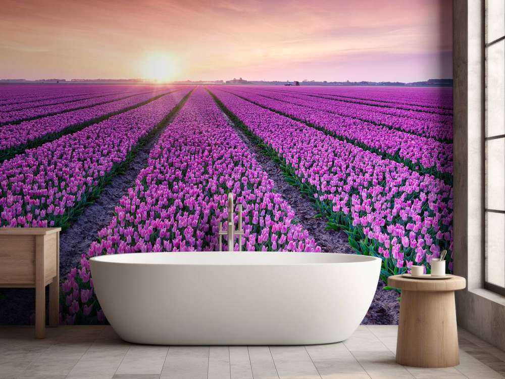 Tulpenveld bij zonsopkomst