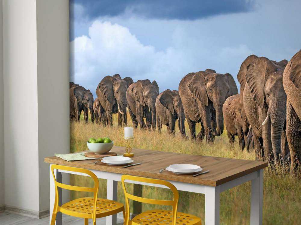 The Land Of The Giants