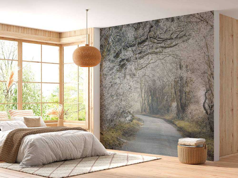 Bevroren weg door bos