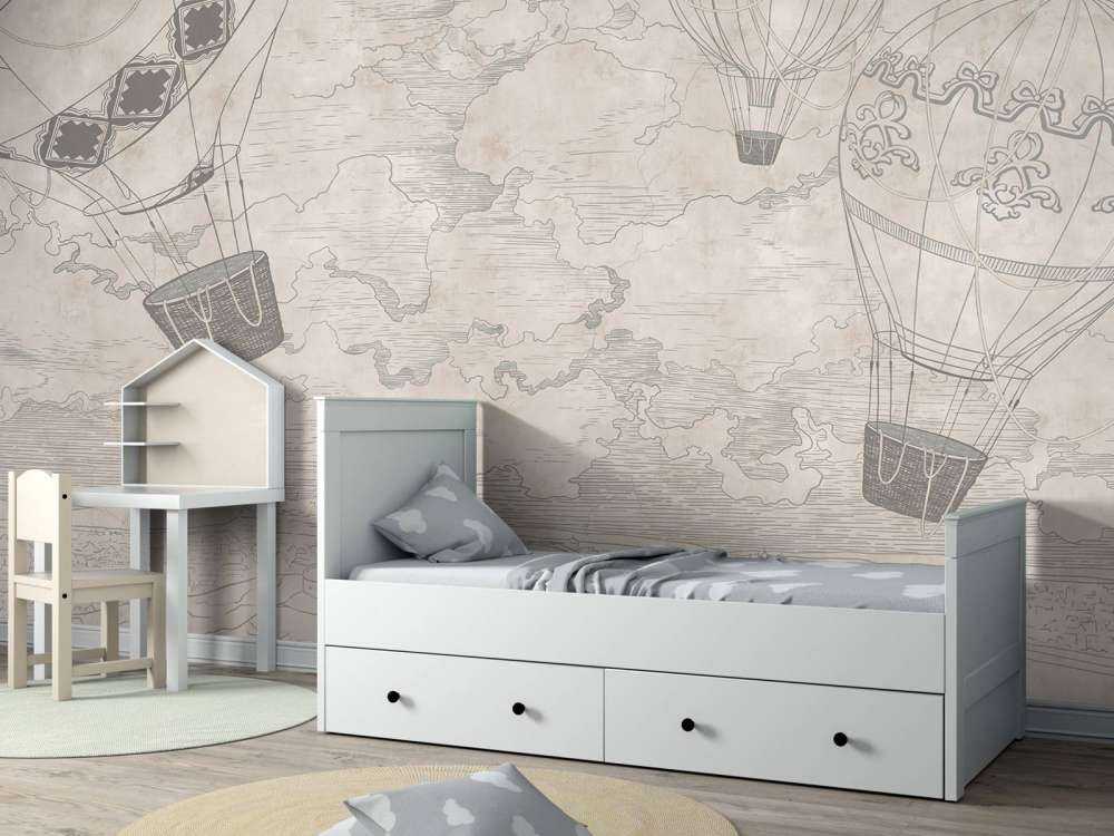 Luchtballonnen met een uitzicht