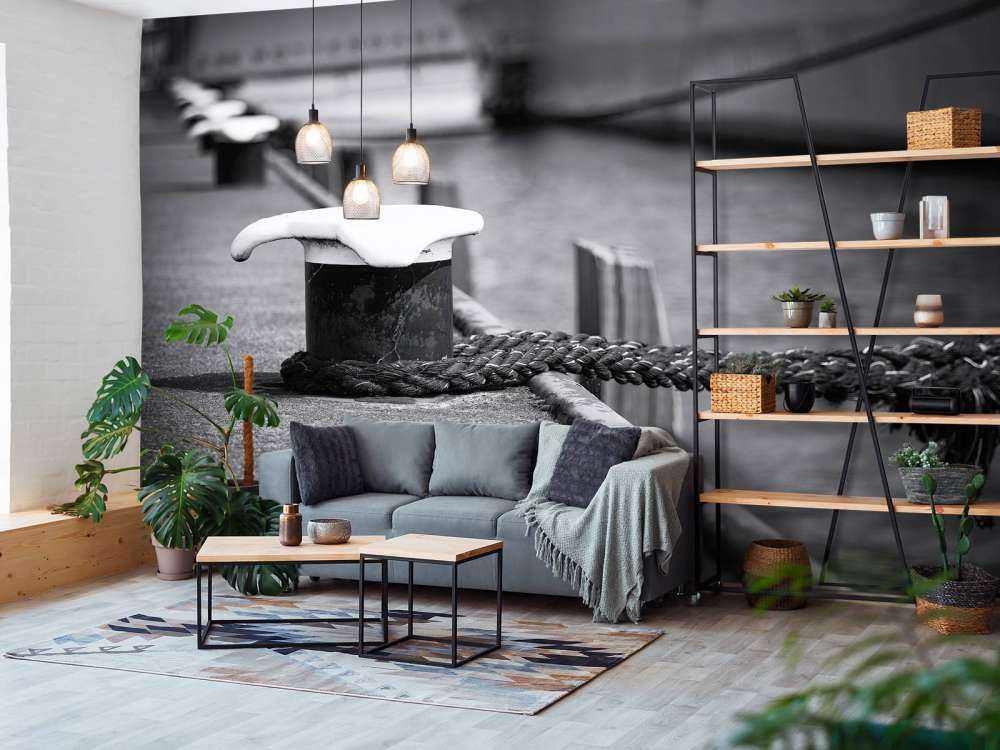 Aangemeerd passagiersschip  