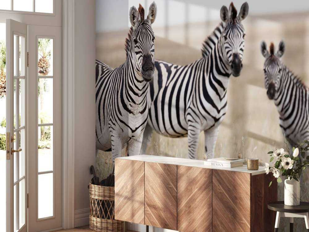 Zebra's in de natuur