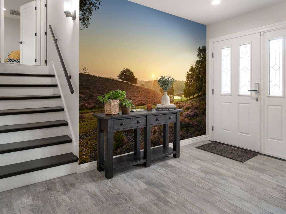 Waterplas op de heide