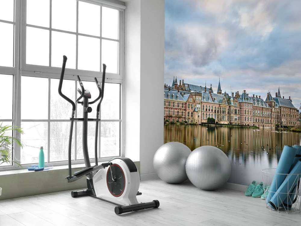 Hofvijver in Den Haag