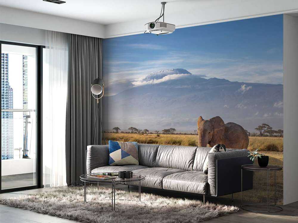 Afrikaanse olifant in een grasland