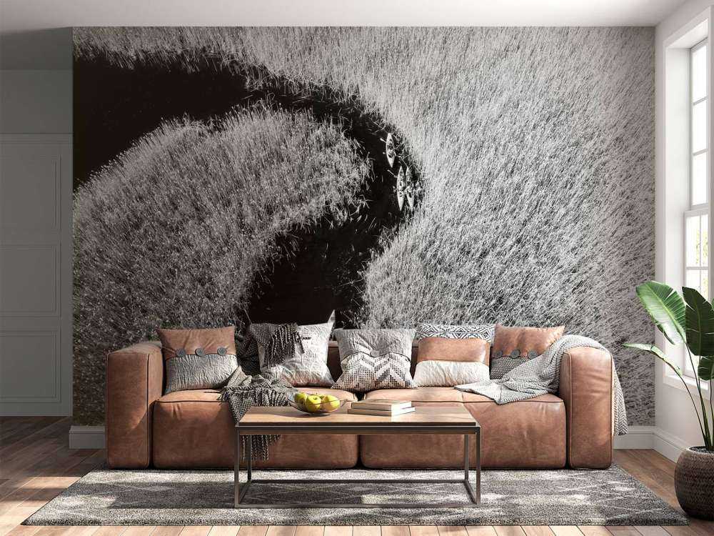 Kajaks in een rivier met riet