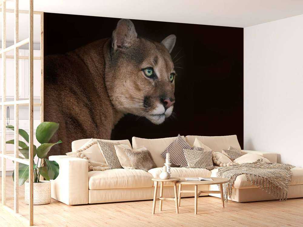 Poema met een zwarte achtergrond