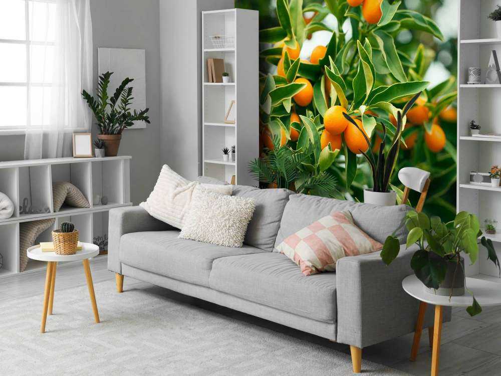 Fruitboom 
