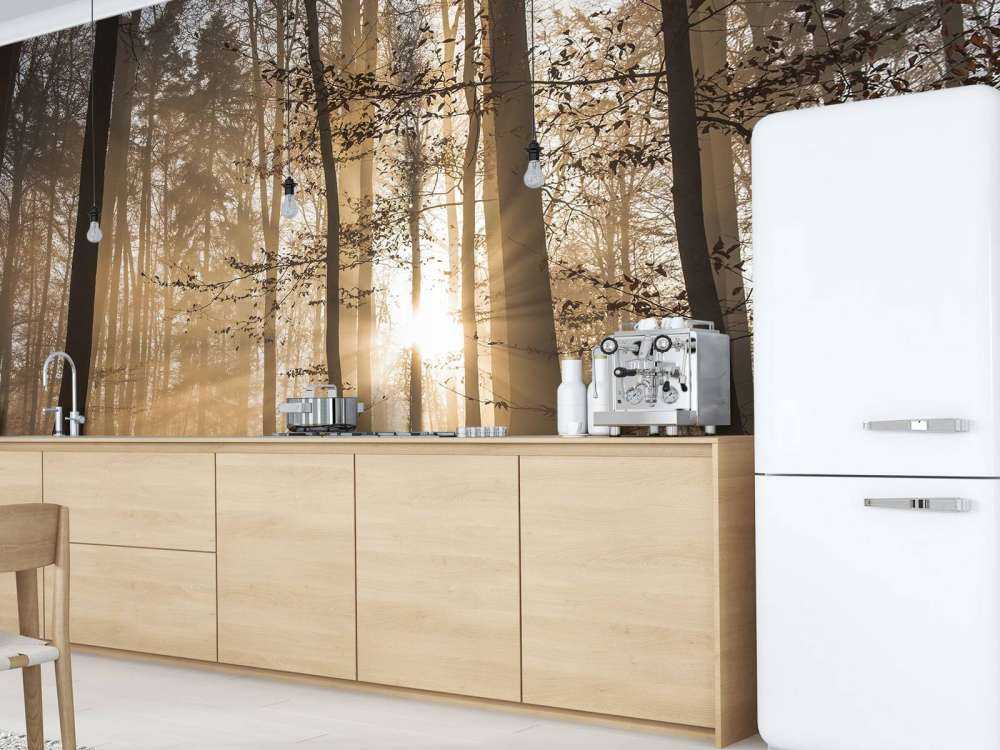 Zonnestralen in een mistig bos