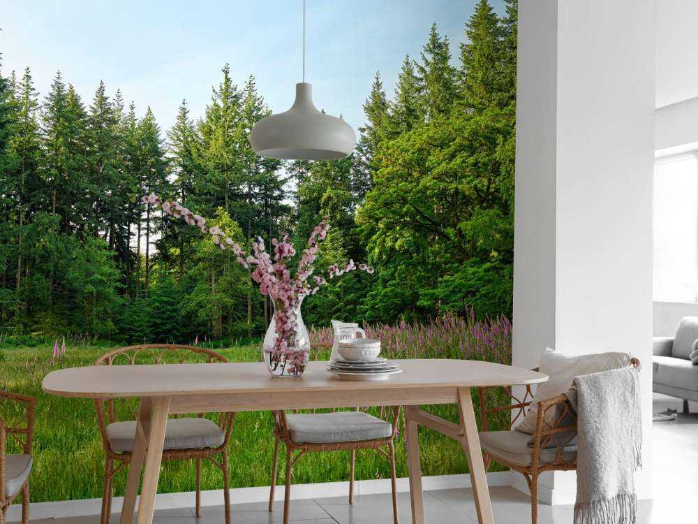 Verlaten plek in het bos