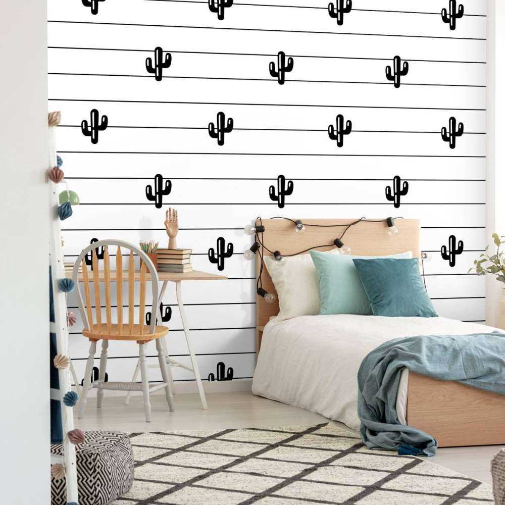 Cactussen en lijnen