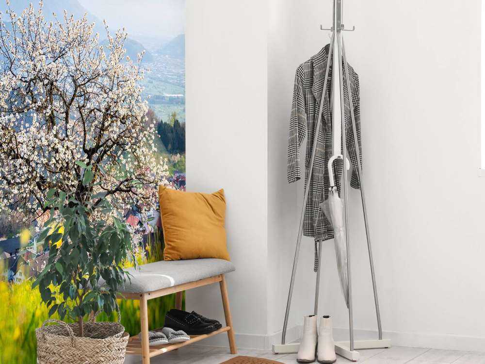 Bloesemboom in bergdal bij lentezon