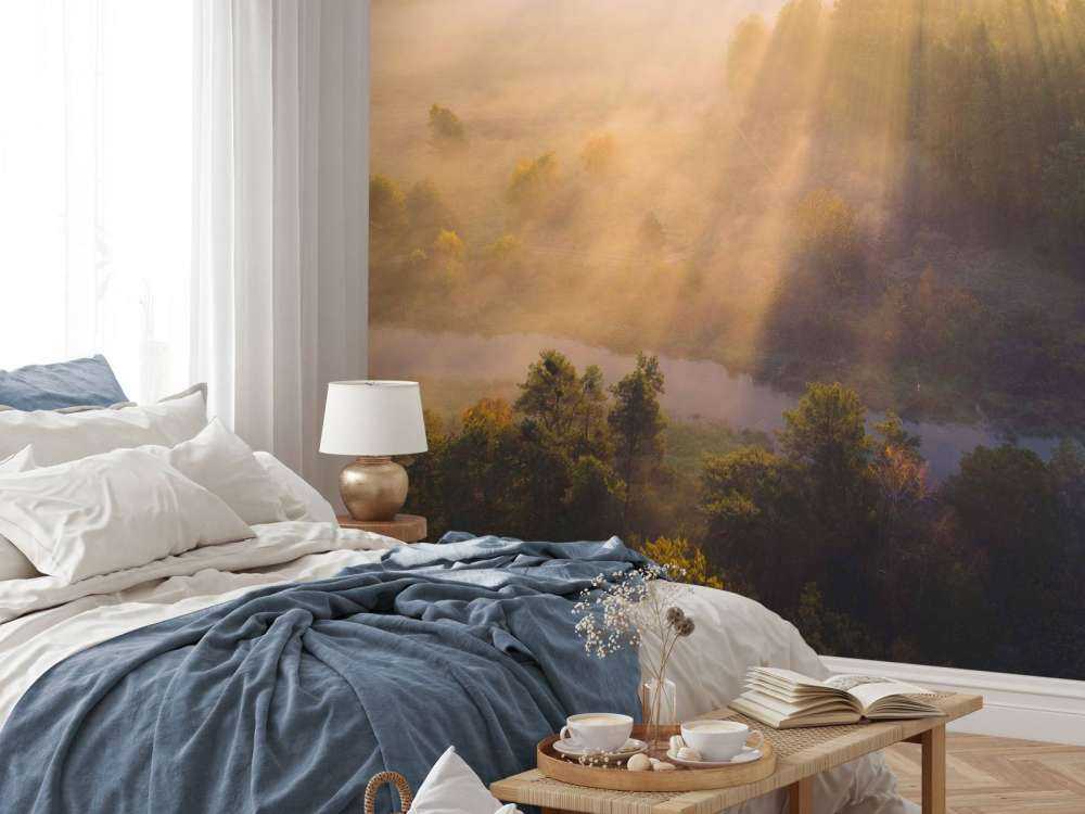 Dromerige Ochtendmist in de Natuur