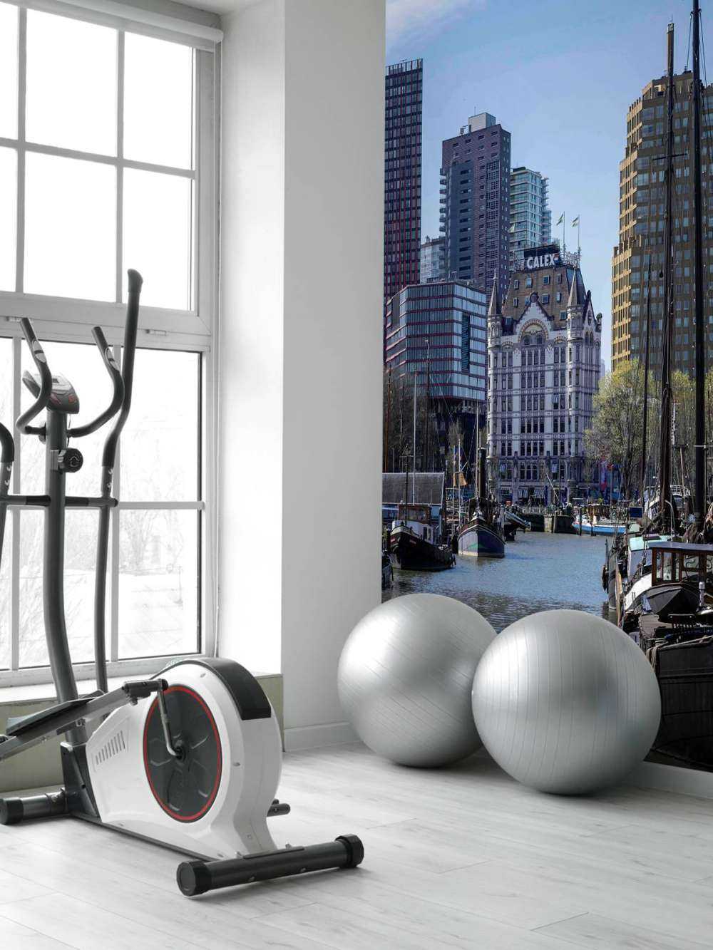 Witte Huis en Oude Haven