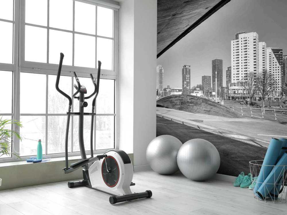 Rotterdamse Skyline onder de Brug