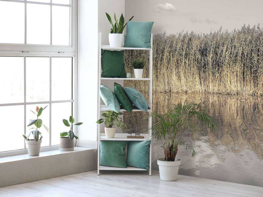 Tall reeds lining the banks of a calm canal