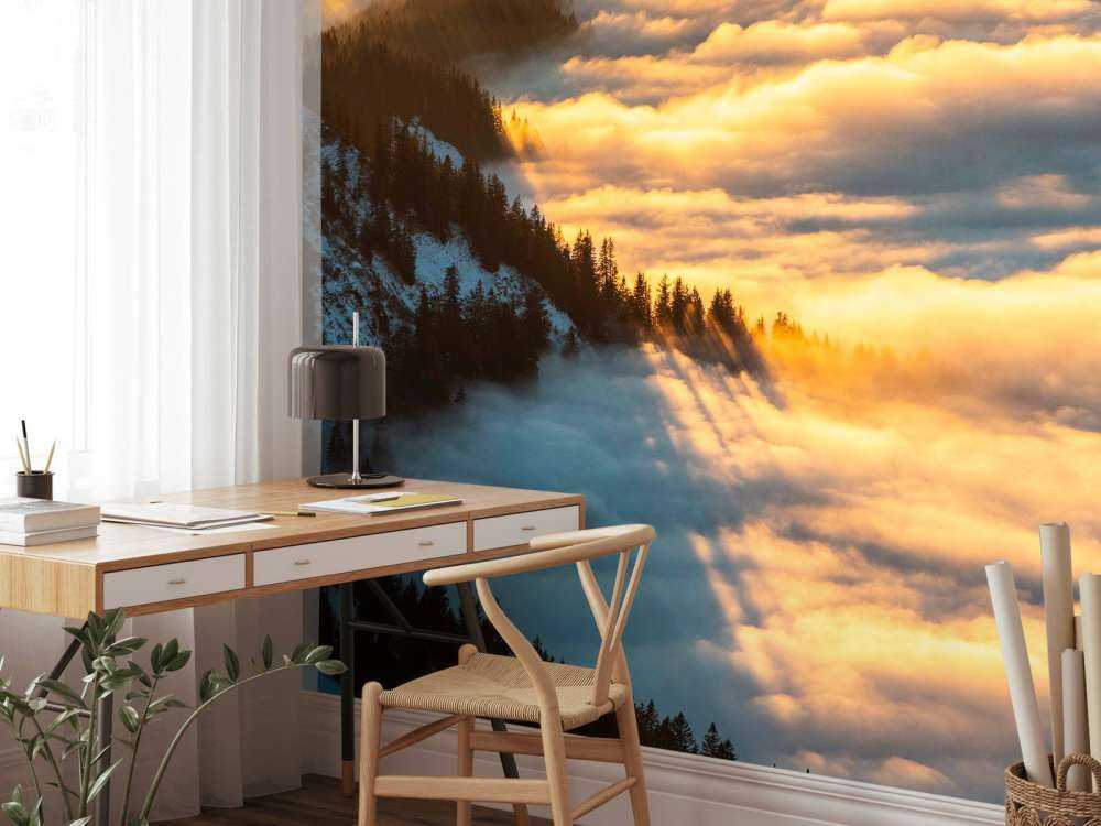 Zonlicht over besneeuwd bergwoud