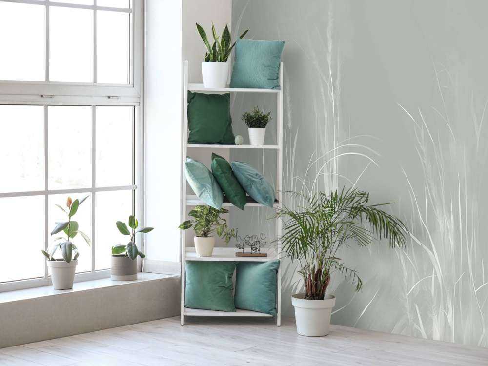 Nature Mood Deep Gray