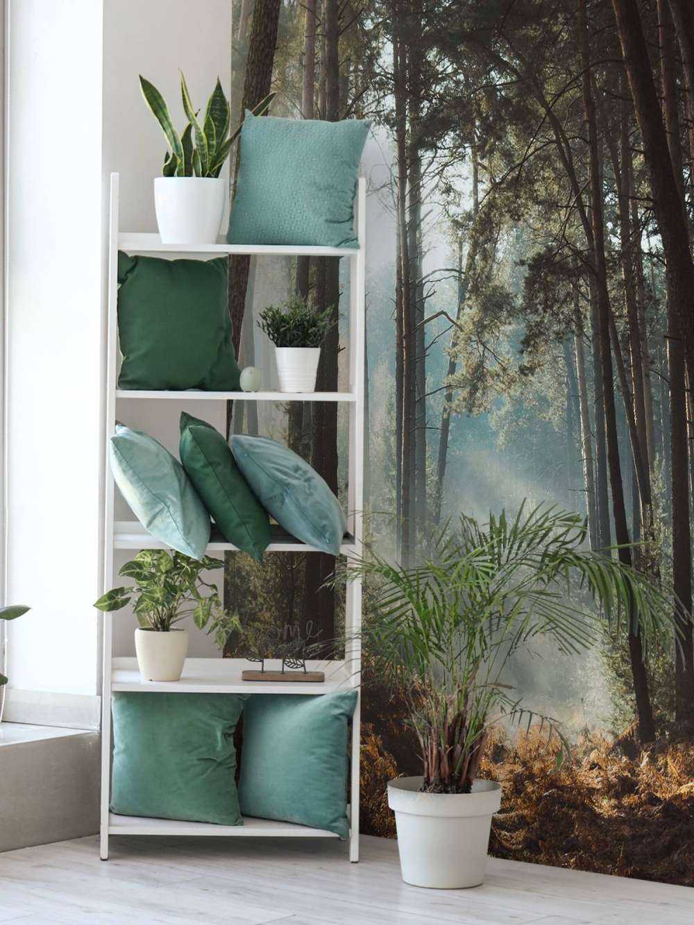 Overgang van de Seizoenen