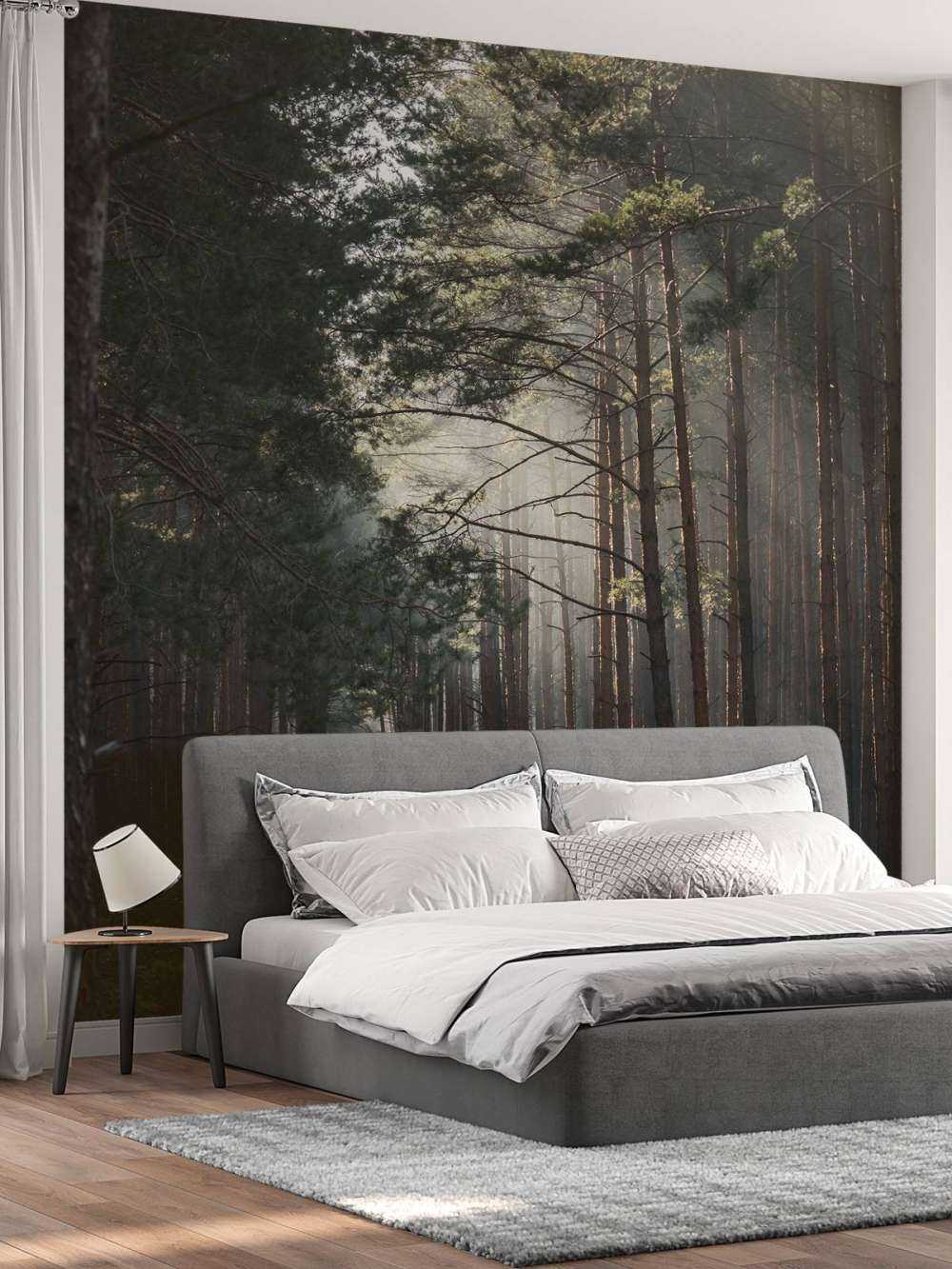 Herfstgloed in het Woud