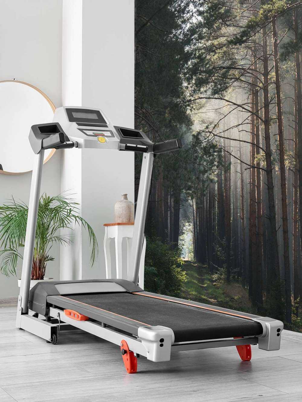 Herfstgloed in het Woud