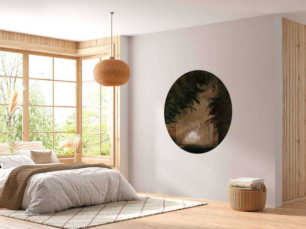 Gouden Lichtval in het Bos