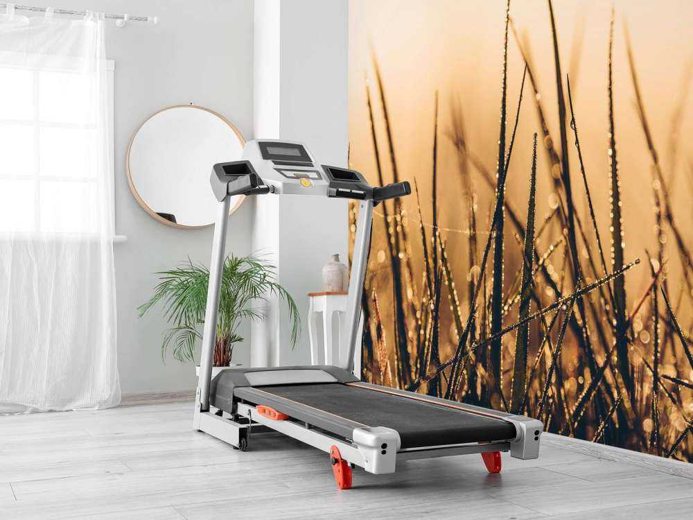 Sprankelend Dauwgras