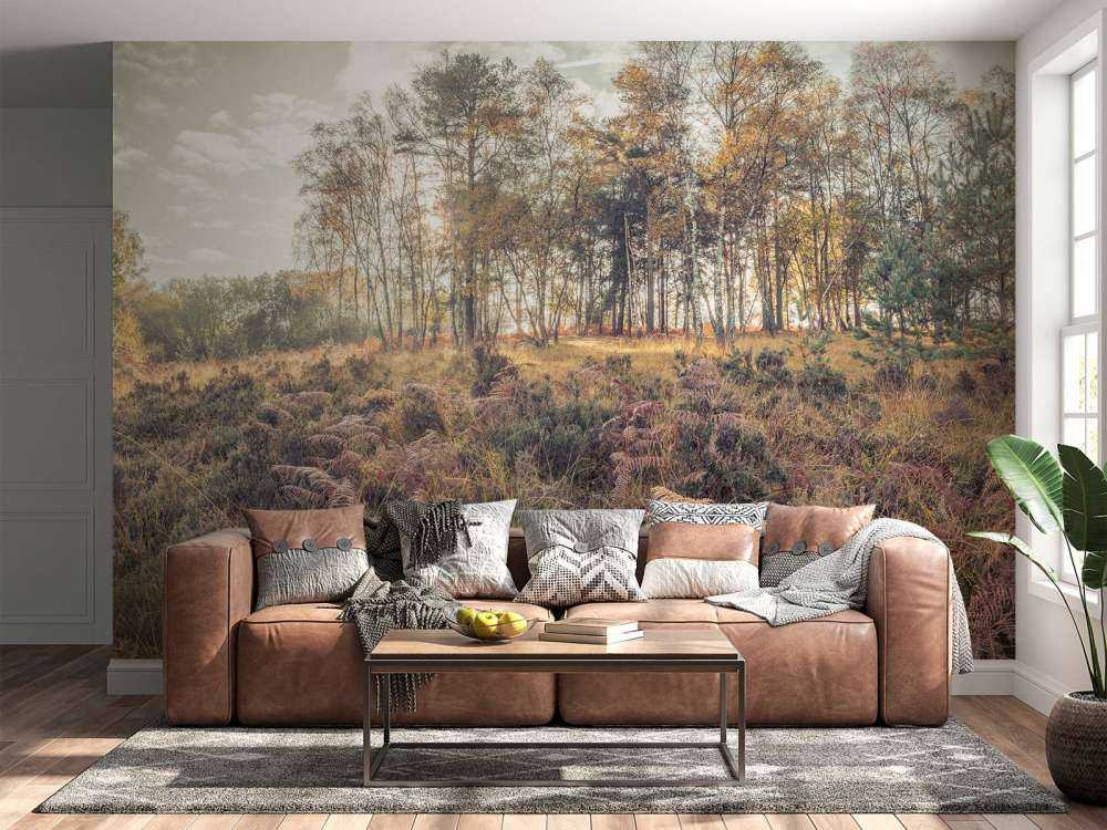 Bos tijdens de ochtend