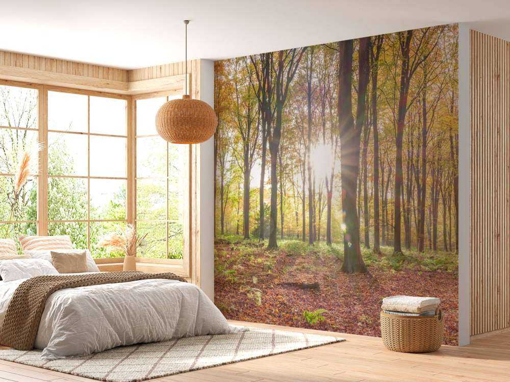 Zonlicht door herfstbos