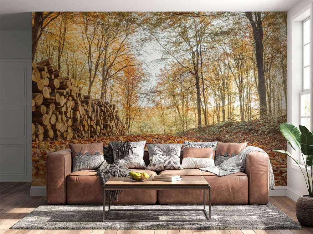 Boomstammen in herfstbos