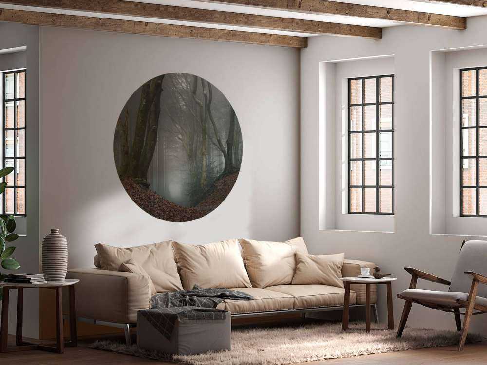 Pad door mysterieus bos