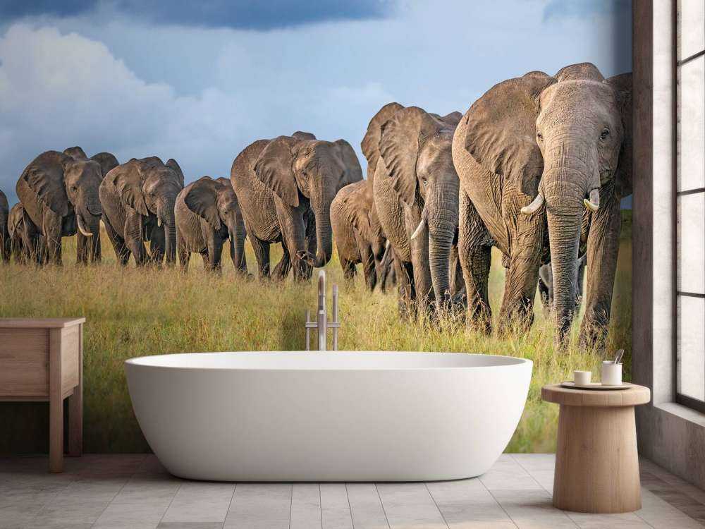 The Land Of The Giants