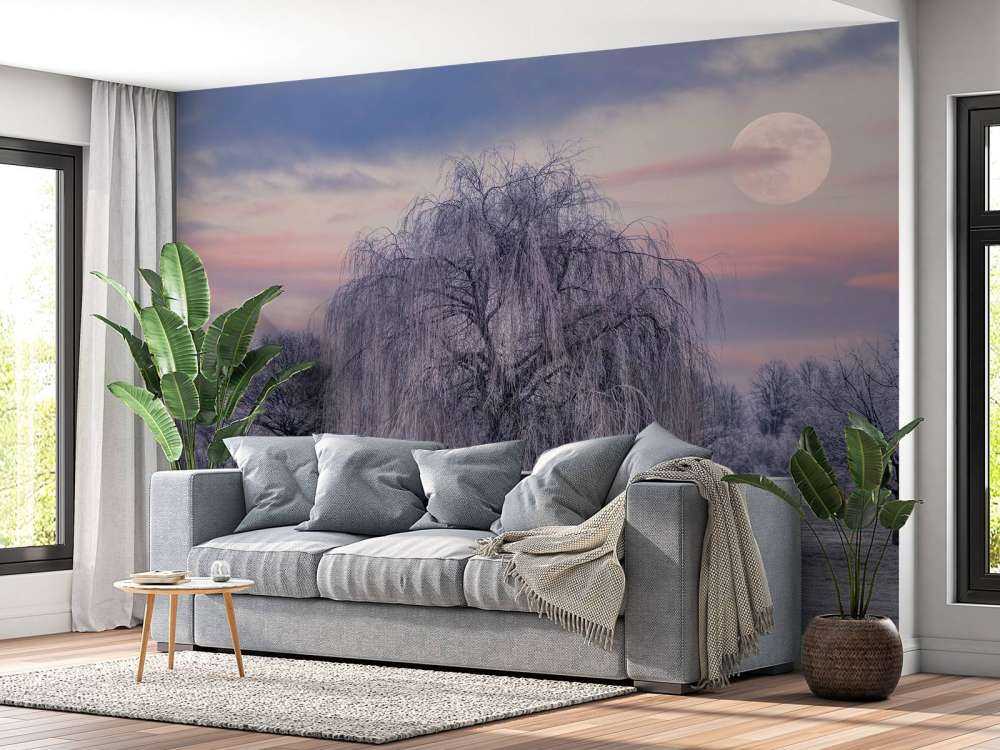 Boom bedekt met vorst