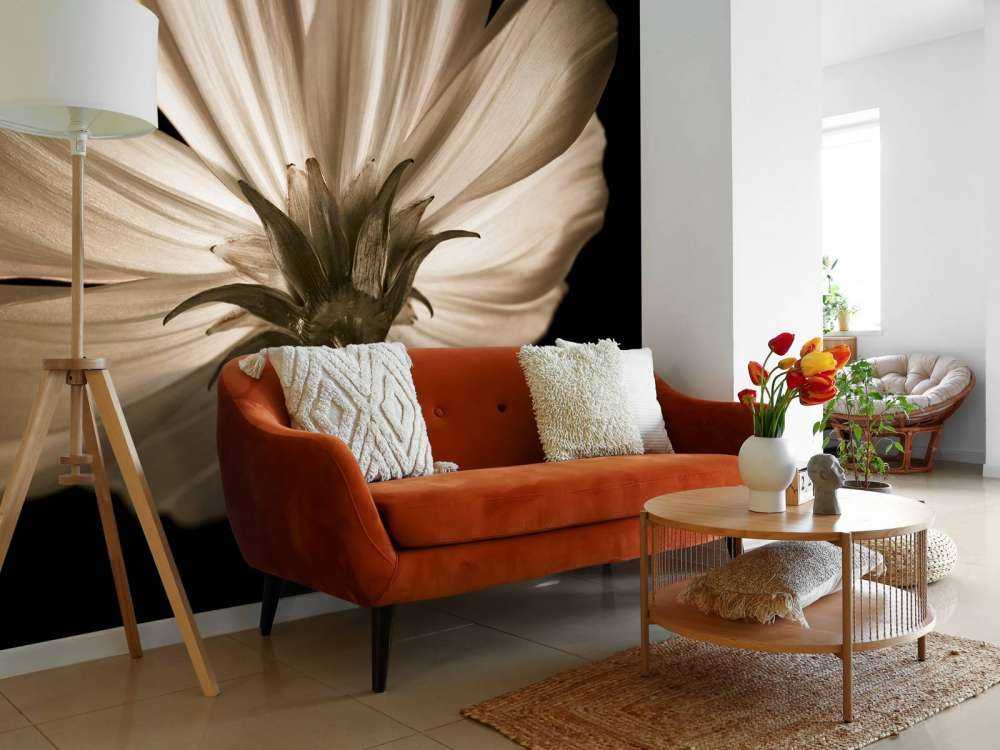 Cosmos bloem van onderen