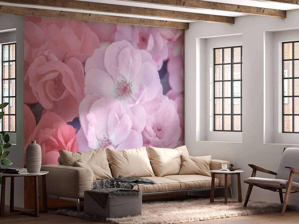 Roze klerurijke bloemen