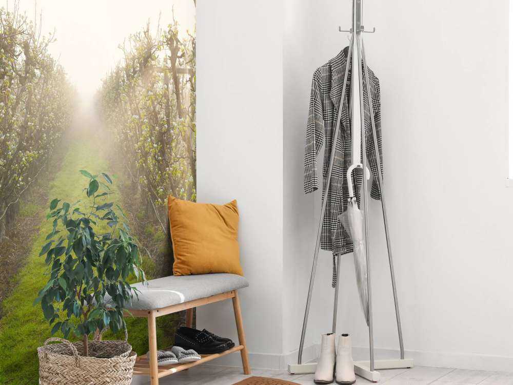 Perenbloesem in mist