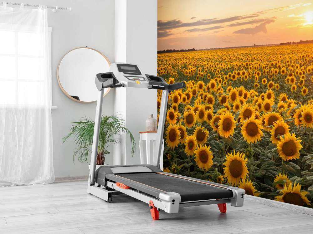 Zonnebloemen veld met zonsondergang