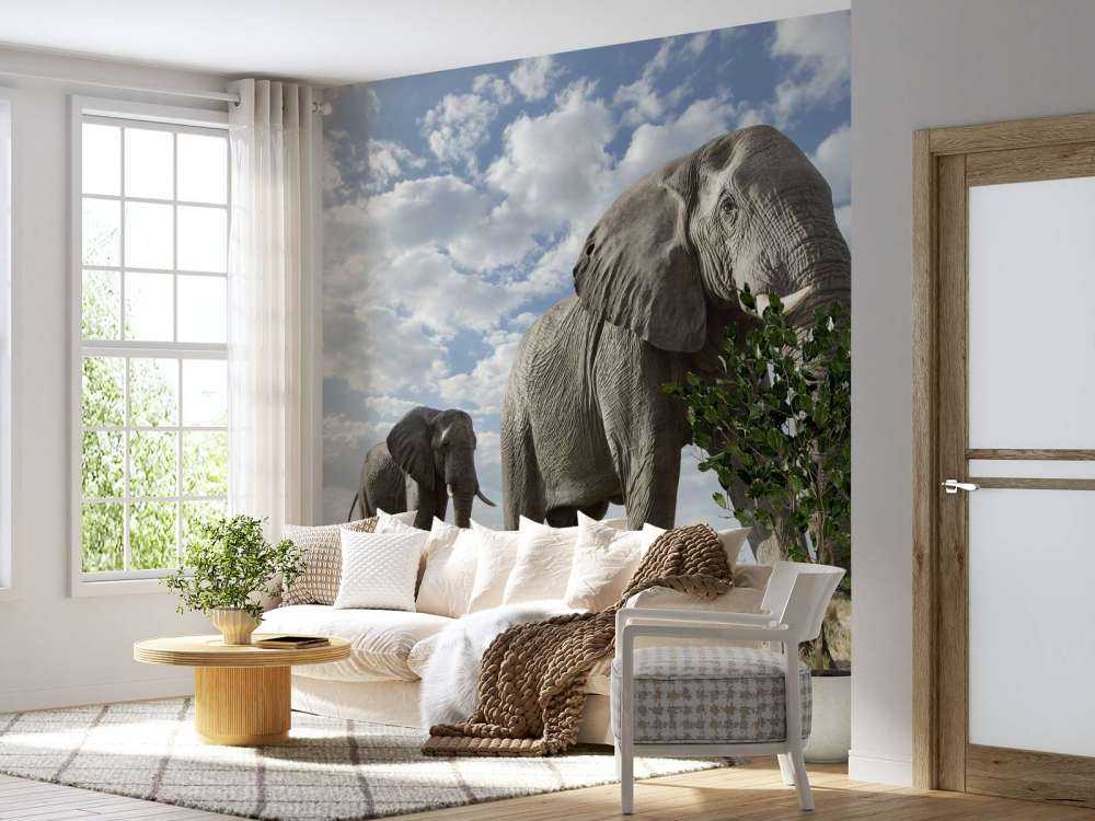 Passerende olifanten