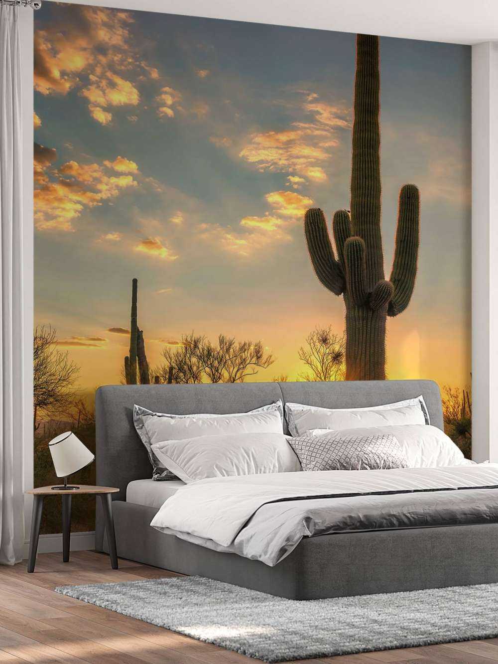 Cactus met zonsondergang